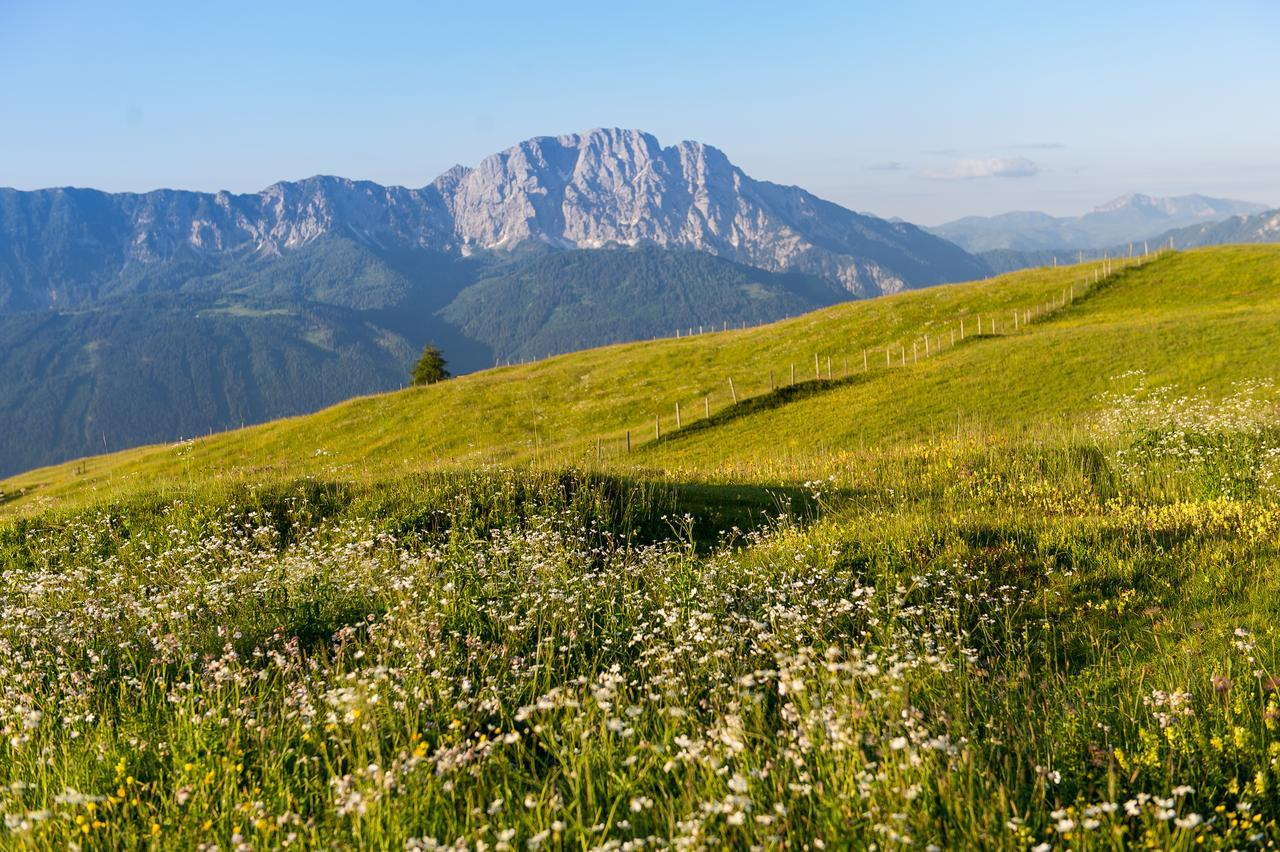 Sattleggers Alpenhof & Feriensternwarte Hotel Greifenburg Ngoại thất bức ảnh
