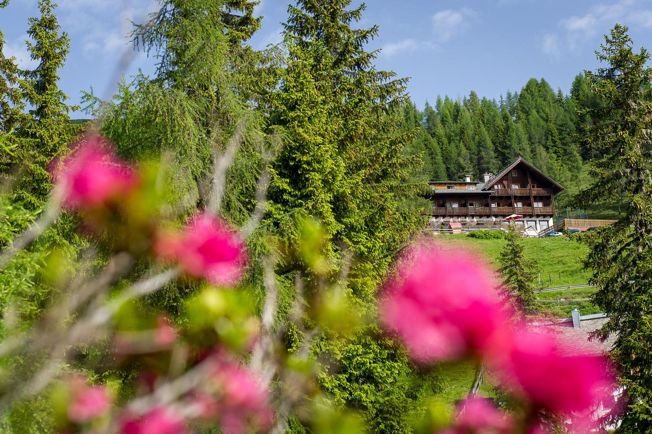 Sattleggers Alpenhof & Feriensternwarte Hotel Greifenburg Ngoại thất bức ảnh